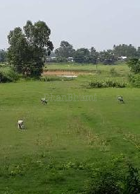 property_images/agricultural_in_ujjain_1782546210_6a3f7f2240b1d.PNG