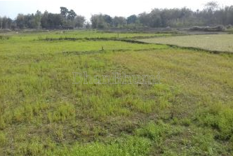 property_images/agricultural_in_ujjain_1782546338_6a3f7fa20b042.PNG