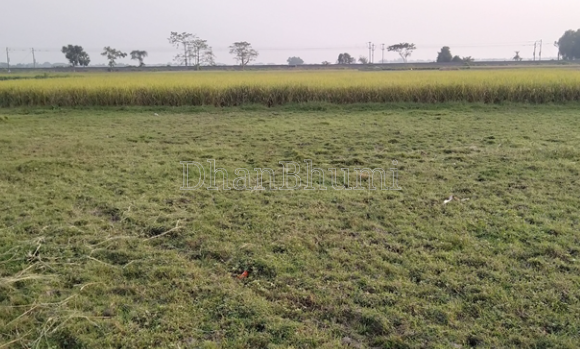 property_images/agricultural_in_ujjain_1782546718_6a3f811e3c8e1.PNG