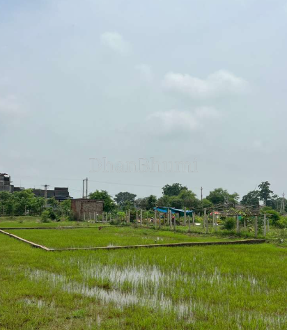 property_images/agricultural_in_ujjain_1785487760_6a6c6190e63b2.PNG