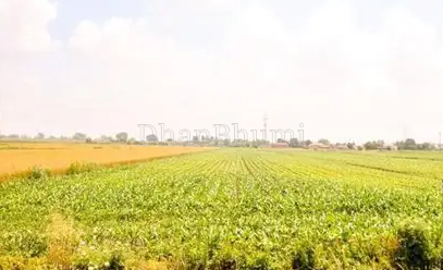 property_images/agricultural_in_ujjain_1786692107_6a7ec20b6e360.png