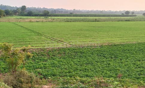 property_images/agricultural_in_ujjain_1786697623_6a7ed797e241b.png