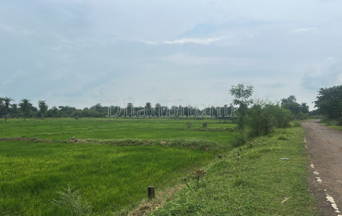 property_images/agricultural_in_ujjain_1787379343_6a893e8f599fc.PNG