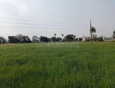 property_images/agricultural_in_ujjain_1787379797_6a89405575b8b.PNG