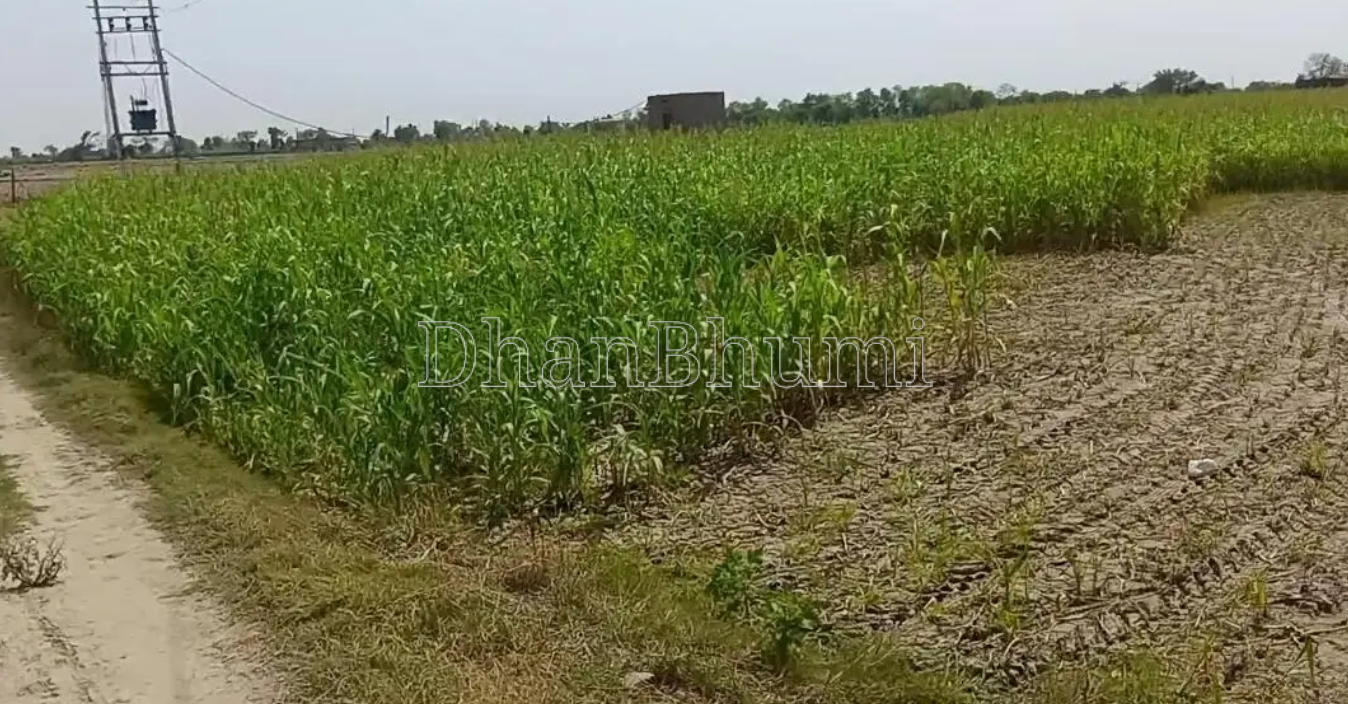 property_images/agricultural_in_ujjain_1787642164_6a8d41349a24f.png