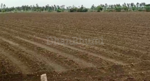 property_images/agricultural_in_ujjain_1788521193_6a9aaae9f2d95.png