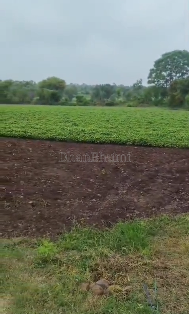 property_images/agricultural_in_ujjain_1790156701_6ab39f9deb312.png