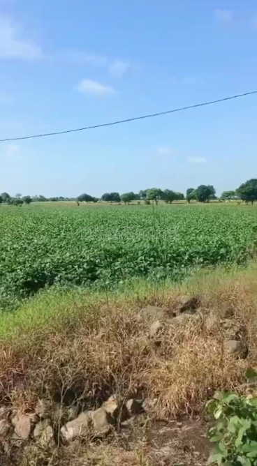 property_images/agricultural_in_ujjain_1792220011_6ad31b6b034ea.PNG