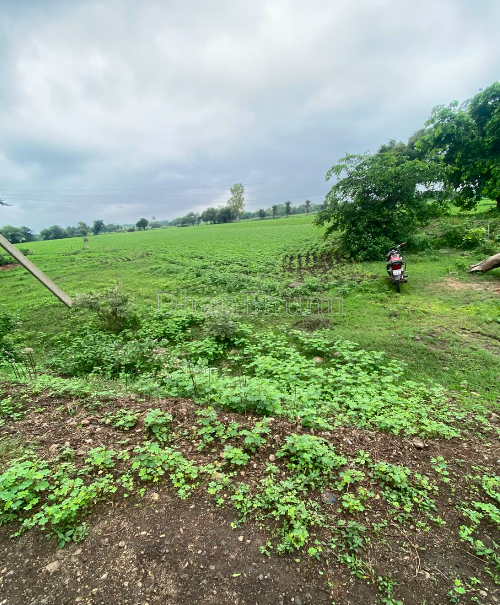 property_images/agricultural_in_umaria_1785567978_6a6d9aea0c7ec.png