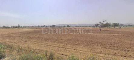 property_images/agricultural_in_unnao_1785738349_6a70346d5b2c2.png