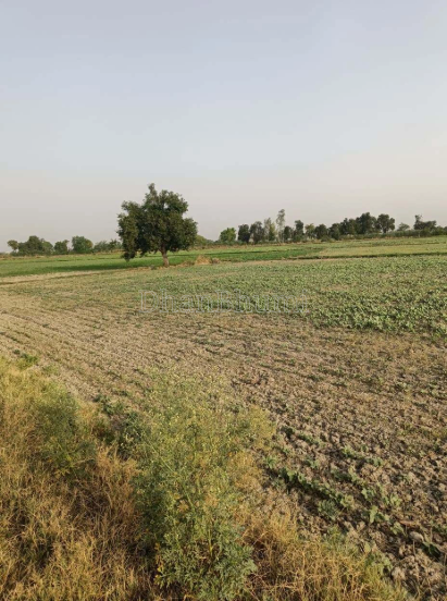 property_images/agricultural_in_unnao_1786444722_6a7afbb24e7c2.PNG