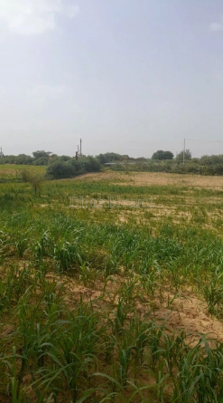 property_images/agricultural_in_unnao_1786445195_6a7afd8b89cb6.PNG