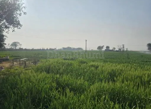 property_images/agricultural_in_unnao_1786445527_6a7afed732126.PNG