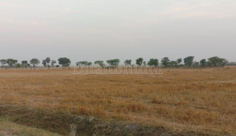 property_images/agricultural_in_unnao_1786612779_6a7d8c2b3133a.png