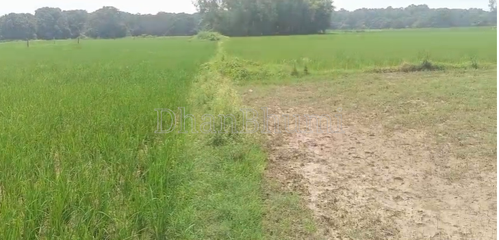 property_images/agricultural_in_unnao_1787206895_6a869cefd5c0a.png