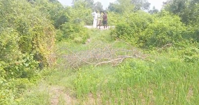 property_images/agricultural_in_unnao_1787206896_6a869cf0081b6.png