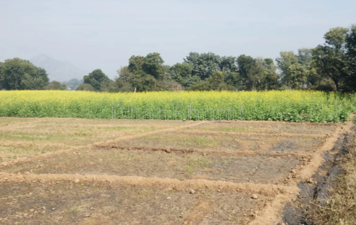 property_images/agricultural_in_unnao_1789976377_6ab0df393677e.PNG