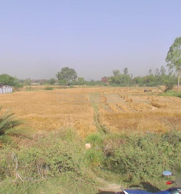 property_images/agricultural_in_unnao_1790860368_6abe5c5082bf5.jpg