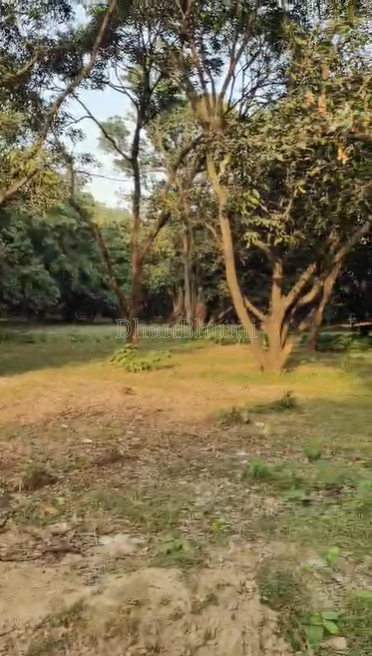 property_images/agricultural_in_unnao_1791365295_6ac610af75d88.png