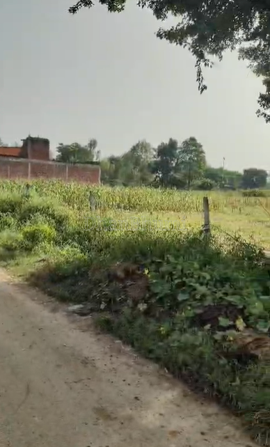 property_images/agricultural_in_unnao_1791366943_6ac6171f78e21.png