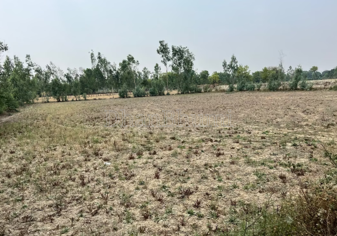 property_images/agricultural_in_unnao_1791367886_6ac61ace0a08d.png