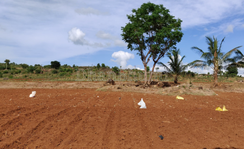 property_images/agricultural_in_unnao_1791799529_6accb0e91bc6b.png