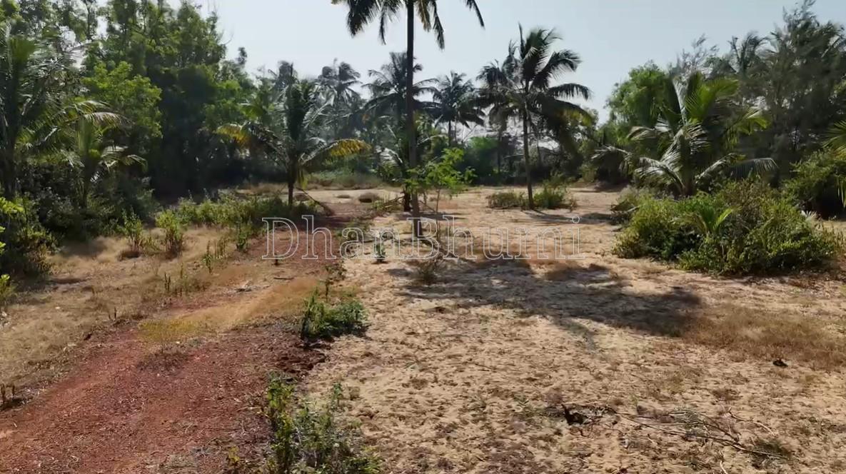 property_images/agricultural_in_uttara_kannada_1781596785_6a3102712aa26.jpg