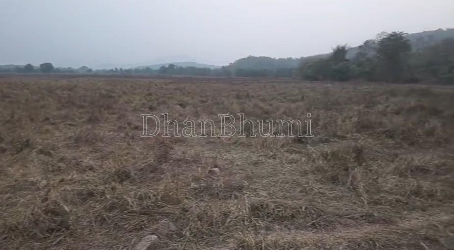 property_images/agricultural_in_uttara_kannada_1781603279_6a311bcfcd3fd.jpg