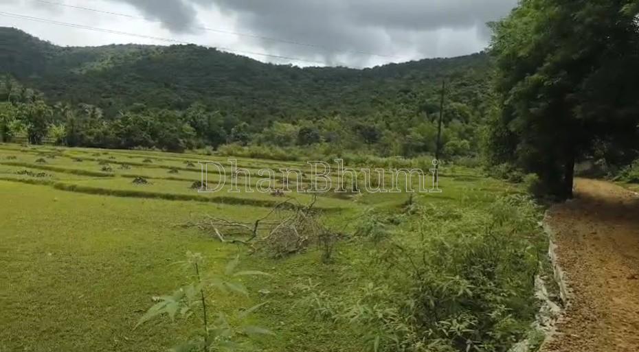 property_images/agricultural_in_uttara_kannada_1782454300_6a3e181c638d3.jpg