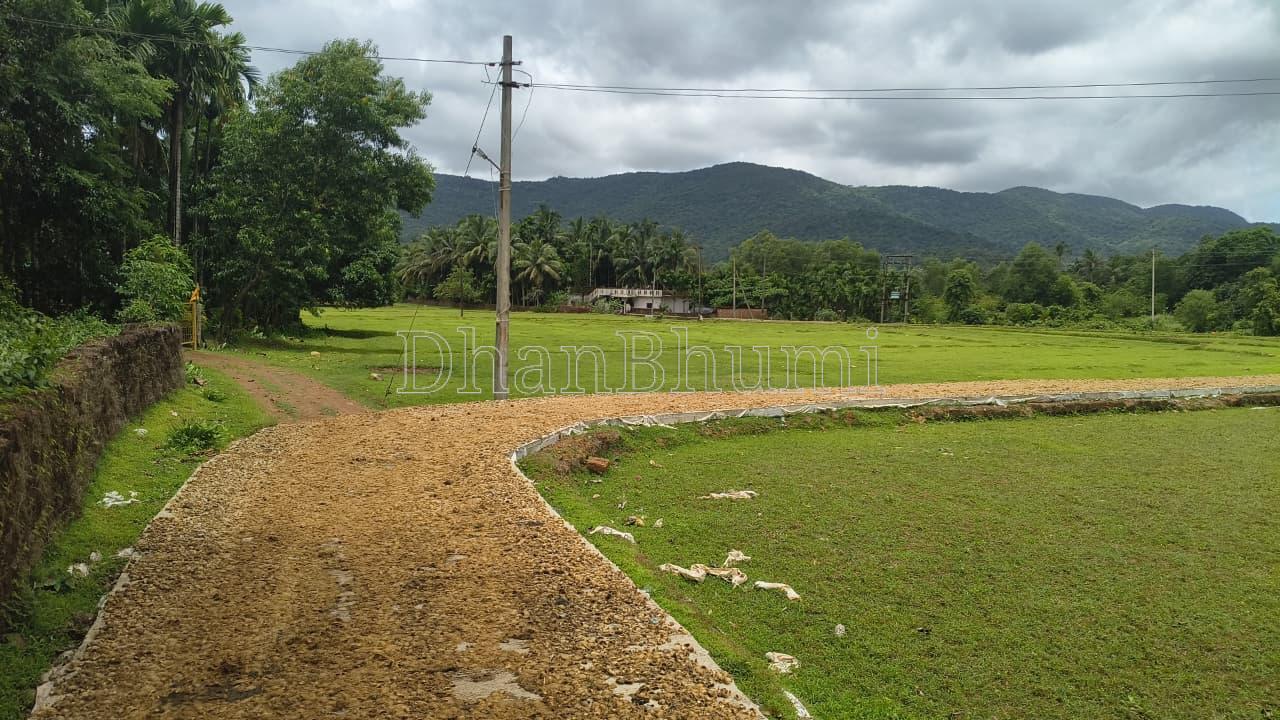 property_images/agricultural_in_uttara_kannada_1782454300_6a3e181c83855.jpeg