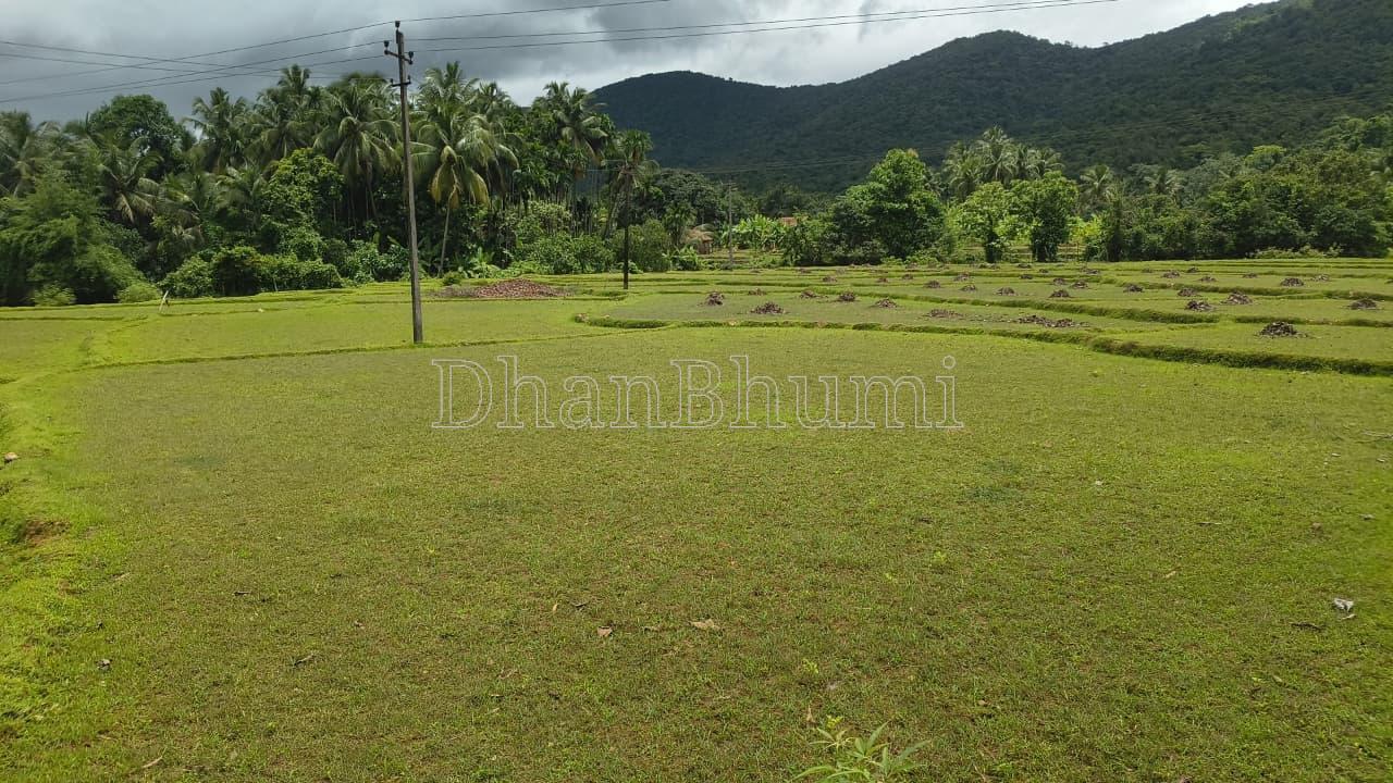 property_images/agricultural_in_uttara_kannada_1782454300_6a3e181ca68d2.jpeg