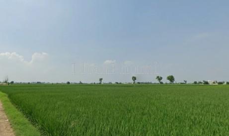 featured_img