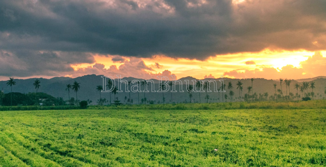 property_images/agricultural_in_vadodara_1786352353_6a7992e1a171a.png