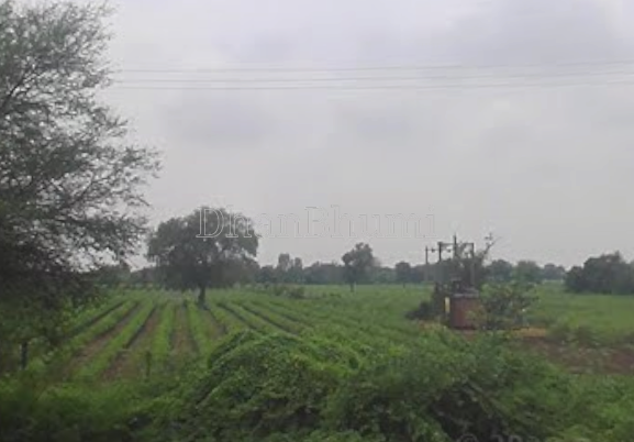 property_images/agricultural_in_vadodara_1791370020_6ac623247bde5.png