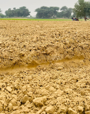 property_images/agricultural_in_vaishali_1789108994_6aa3a3024e4a4.png