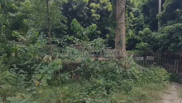 property_images/agricultural_in_vaishali_1789993645_6ab122ade0e51.png