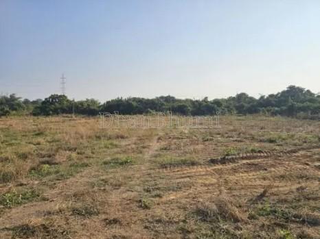 property_images/agricultural_in_valsad_1783417460_6a4cca7446275.jpg