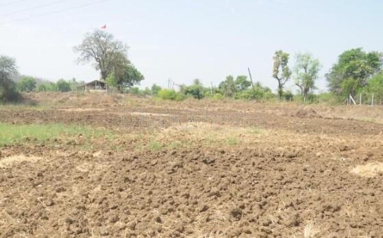 property_images/agricultural_in_valsad_1783417615_6a4ccb0f2d280.jpg