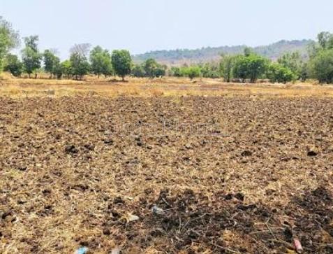 property_images/agricultural_in_valsad_1783418695_6a4ccf474b8dd.jpg
