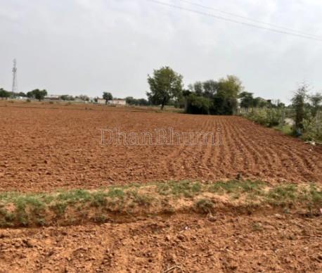 property_images/agricultural_in_valsad_1783419656_6a4cd30813a4e.jpg