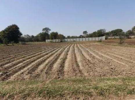 property_images/agricultural_in_valsad_1783420366_6a4cd5ce4170b.jpg