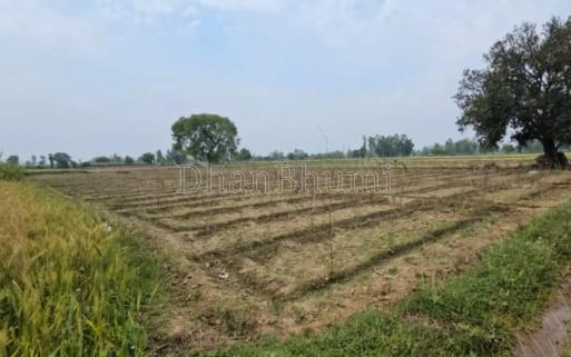 property_images/agricultural_in_valsad_1783420792_6a4cd778236a6.jpg