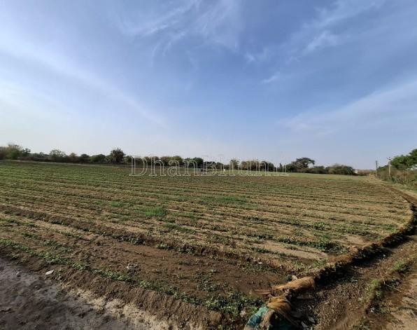 property_images/agricultural_in_valsad_1783421543_6a4cda671e3d7.jpg