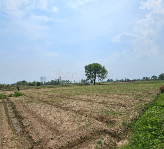 property_images/agricultural_in_vapi_valsad_1783421216_6a4cd9205acb4.jpg