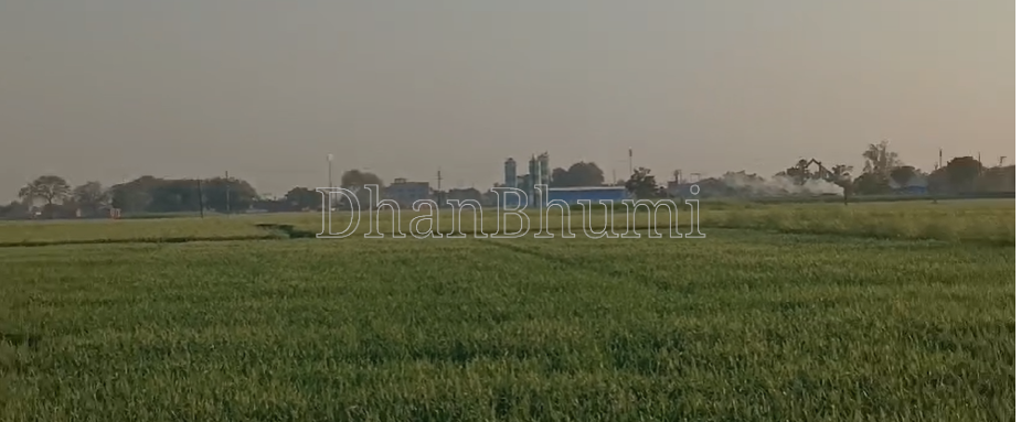 property_images/agricultural_in_varanasi_1782464930_6a3e41a257d9b.png