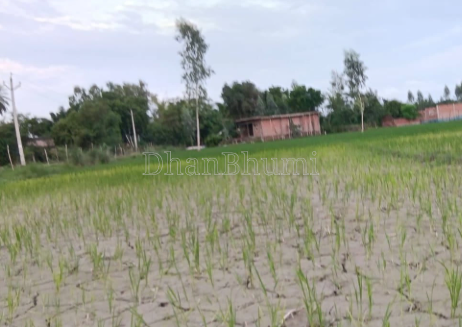 property_images/agricultural_in_varanasi_1787727896_6a8e9018b940d.PNG