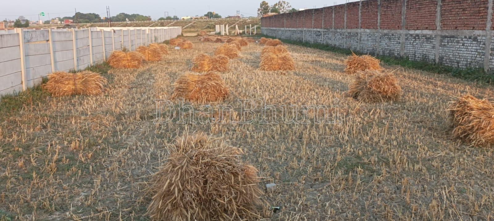 property_images/agricultural_in_varanasi_1787730129_6a8e98d133472.jpg