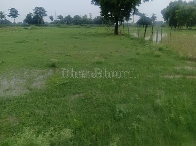 property_images/agricultural_in_varanasi_1788431178_6a994b4a0e8f9.PNG