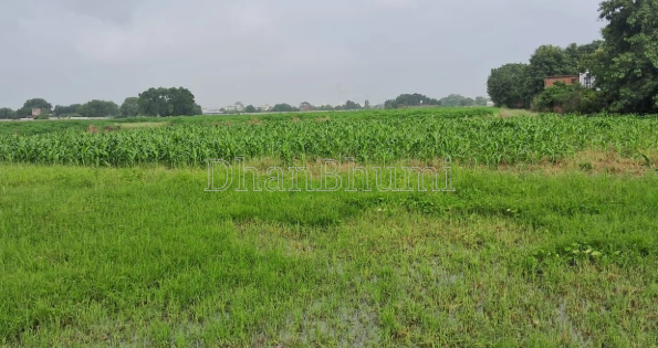 property_images/agricultural_in_varanasi_1788431272_6a994ba8103ec.PNG