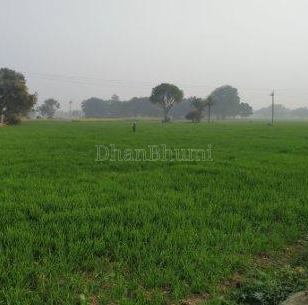 property_images/agricultural_in_varanasi_1792131620_6ad1c22422391.png